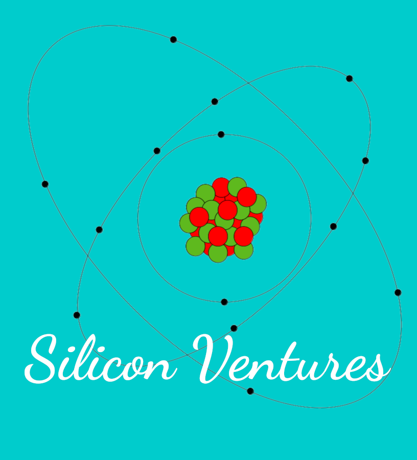 Silicon Ventures Logo